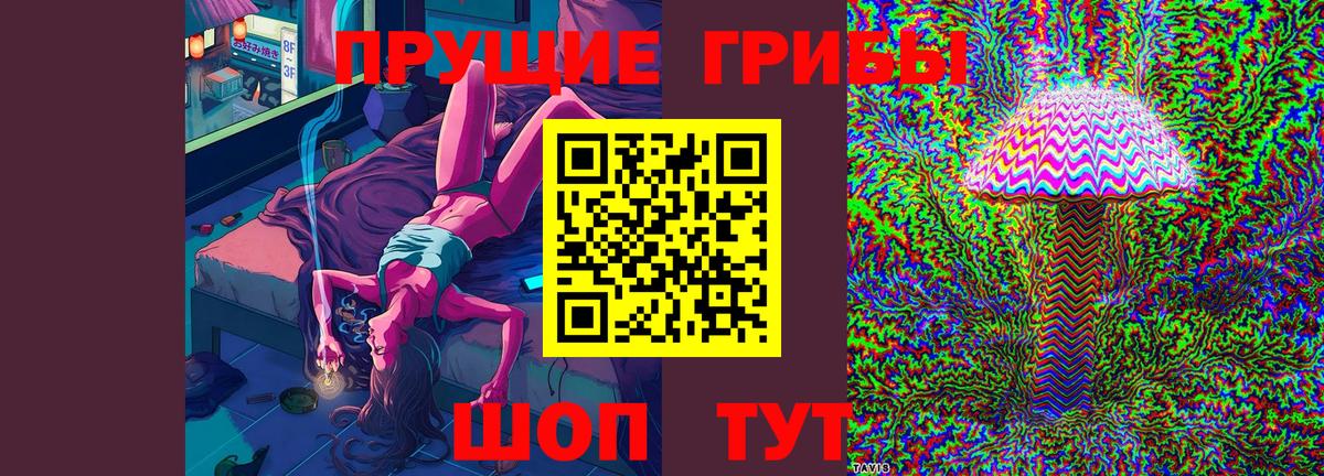Светлоград  цена   Вход с VPN  Псилоцибиновые грибы мухоморы 