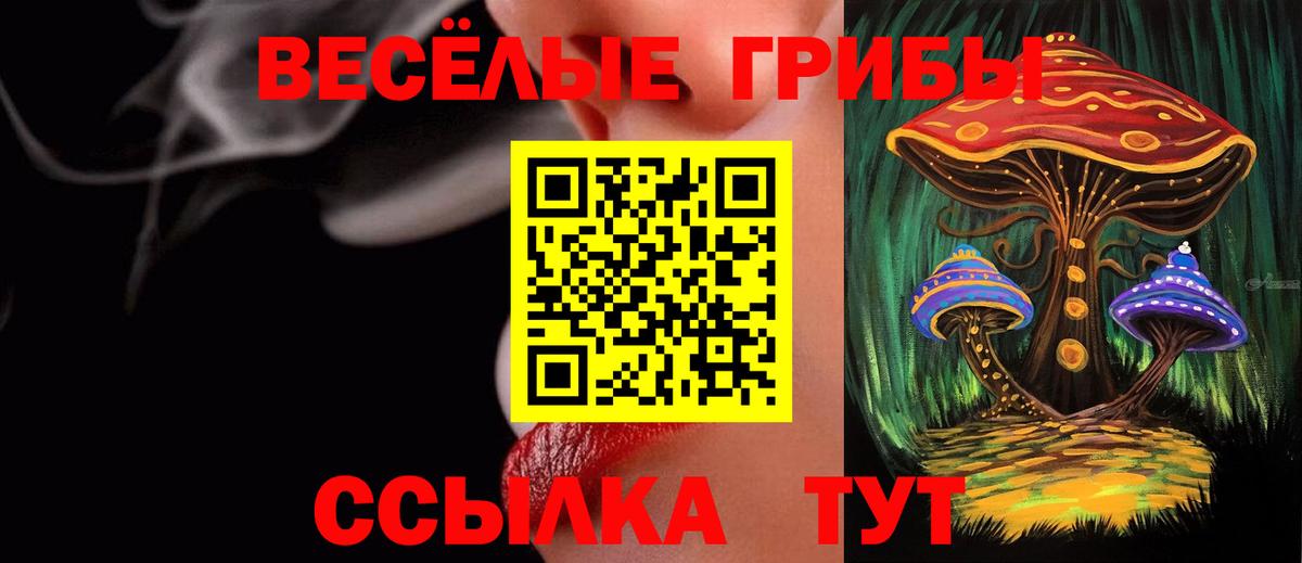 Псилоцибиновые грибы мухоморы Светлоград